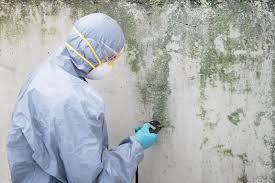 Reliable Crawford, GA Mold Removal Solutions